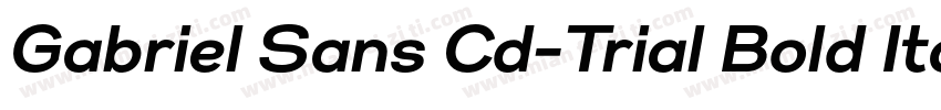 Gabriel Sans Cd-Trial Bold Italic字体转换